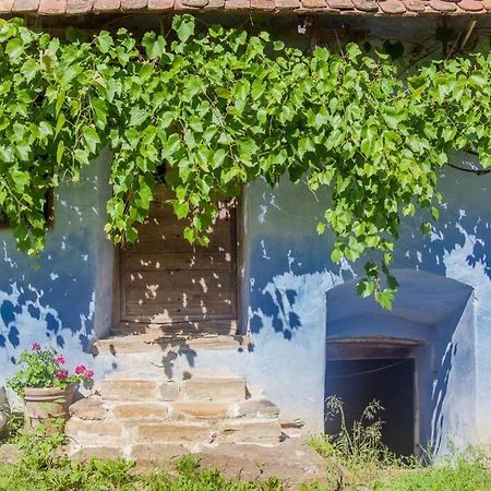 Experience Transylvania Viscri 63B Екстериор снимка